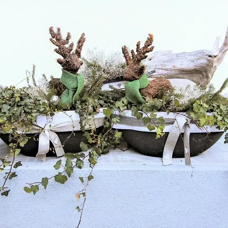 Alpina Zillertal Διαμέρισμα *