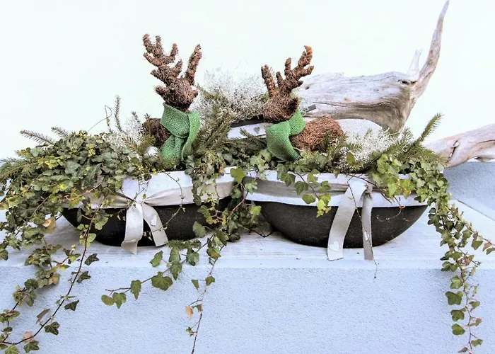 Alpina Zillertal Apartamento *